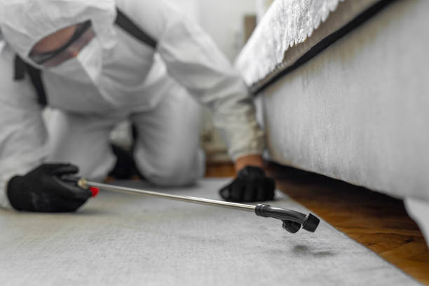 Professional Bed Bug Control technician working in Madison County County, VA